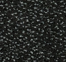 Ковролин Balsan Zenith Roll 992 фото 1 | FLOORDEALER
